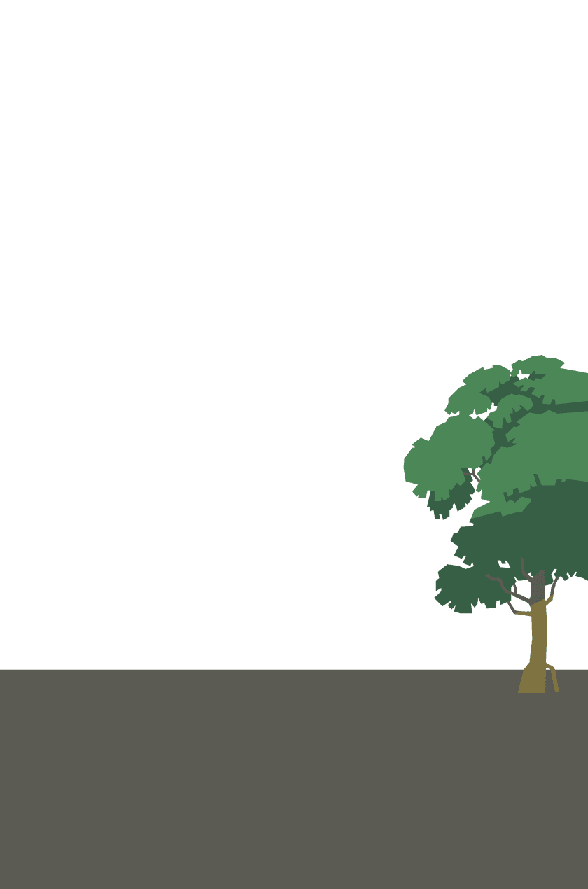 The tree is right in the middle